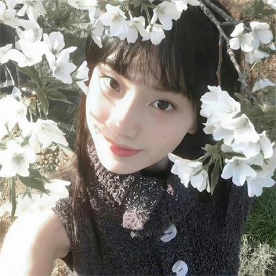 狐狸捕手